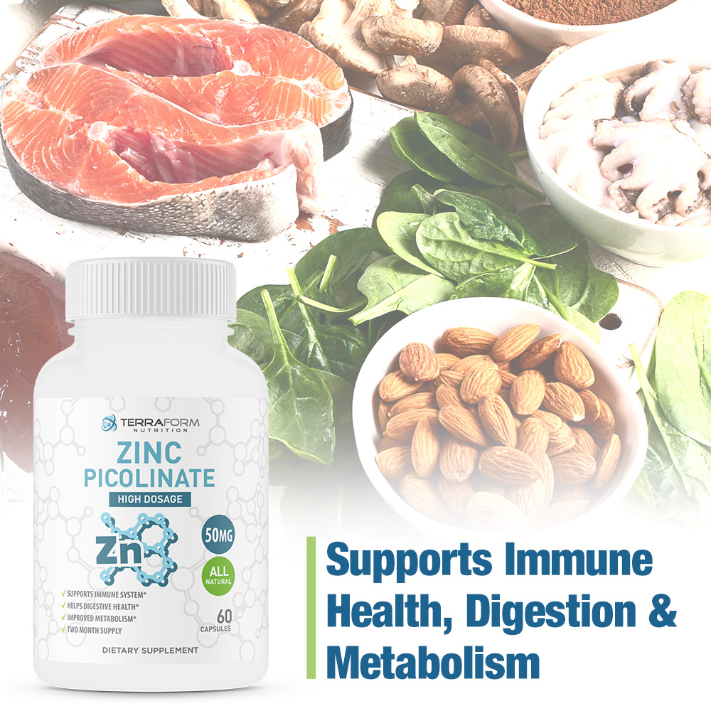 High Dosage Zinc Capsules, 50mg 60 Count Terraform Nutrition