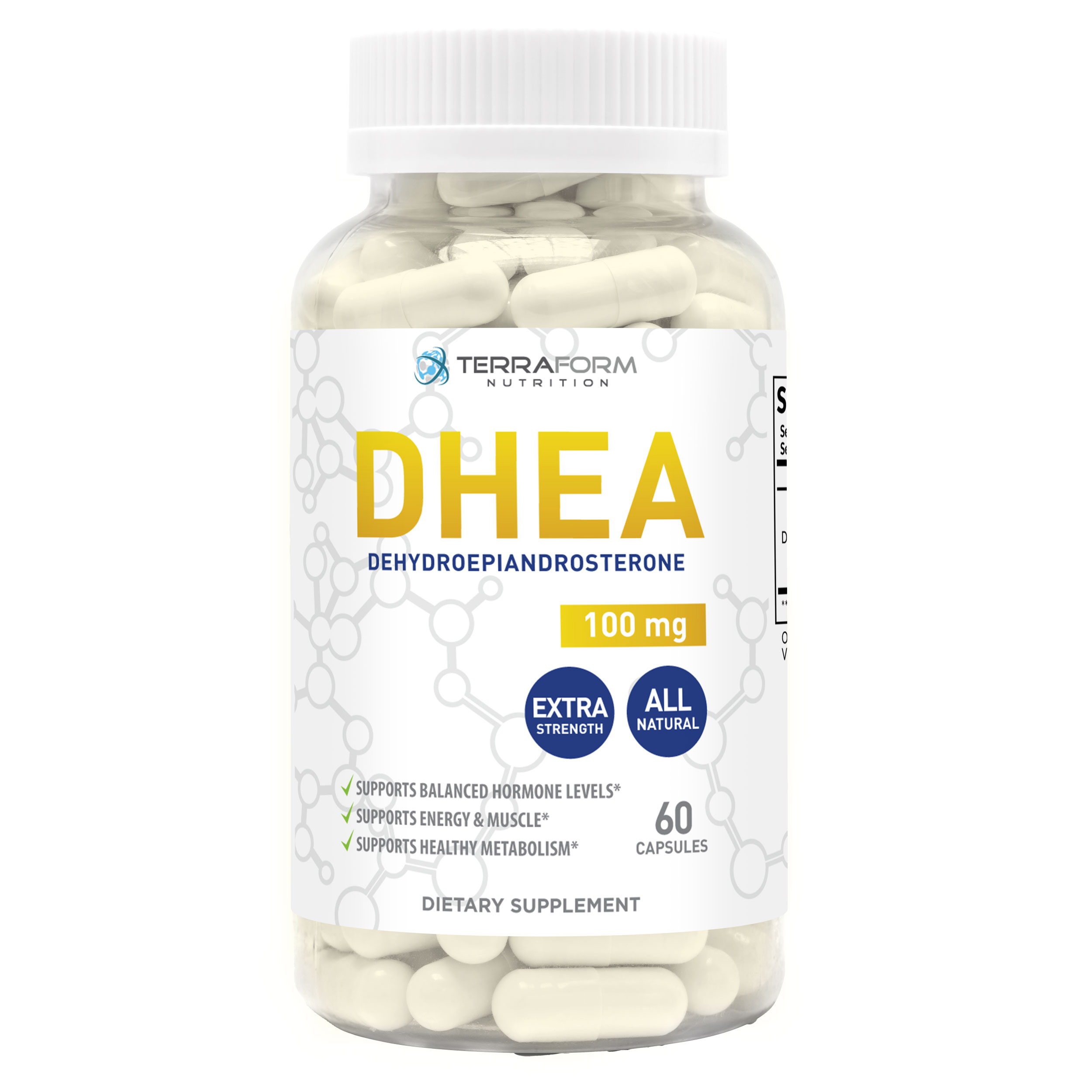 Terraform Nutrition DHEA Supplement 100mg (Dehydroepiandrosterone